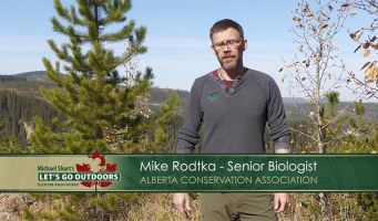 Mike Rodtka - ACA Senior Biologist