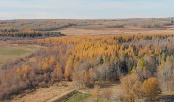 Rolling hills and boreal forest