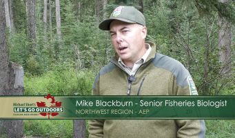 Mike Blackburn - Senior Fisheries Biologist, NW Region, AEP