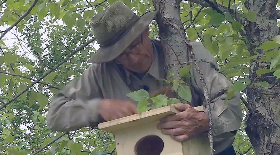 Jim Potter installing a waterfowl nesting box