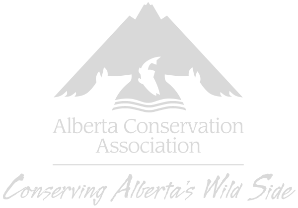 Alberta Conservation Association