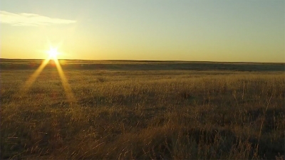 Sunset on prairie grasslands in Southern Alberta