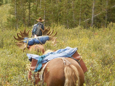 Alberta Outfitters still providing traditional hunts in a modern world