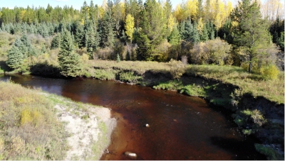 Despite closures since 2016 poaching remains an issue on many of the tributaries of the Pembina watershed.