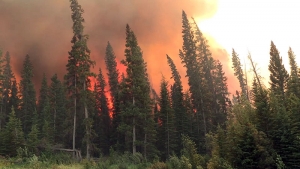 A closer look at the 2015 Wildfire season in Alberta (video)