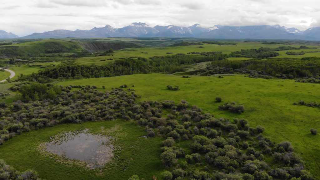 Ranchers along the eastern slopes are playing a significant role when it comes to enhancing habitat for wildlife while still maintaining a viable cattle operation.