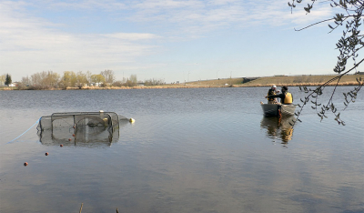 Alberta Conservation Association Biologists Troy Furukawa and Kacey Barret start the process of pulling nets to get an idea of the health of the fish population.