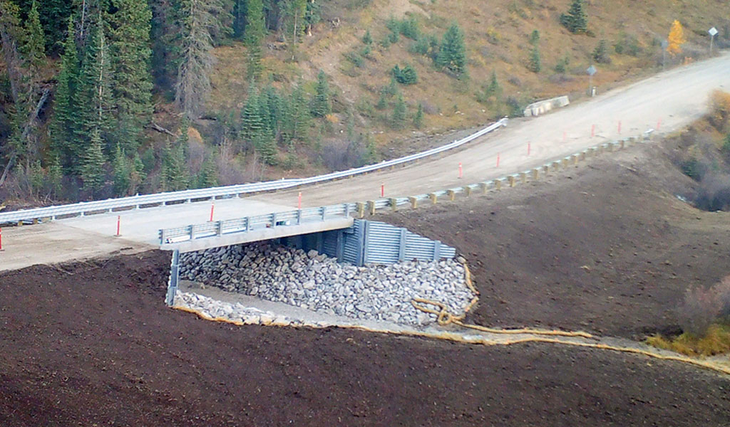 This single span bridge will allow Bull trout to reach an additional seven-kilometres of of McCue creek, and new spawning habitat